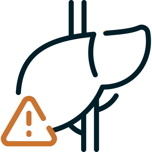 icon depicting liver damage